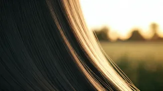 Related Stories banner