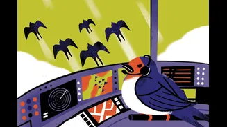 Como os animais migratórios sabem para onde ir?