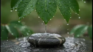 Daily Habits That Can Help Reduce Monsoon Skin And Hair Troubles