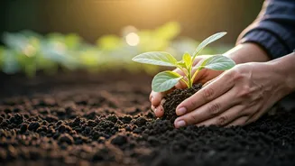 Cool Weather Turns Gardening Into A Gentle Hobby