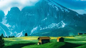 Why Hiking In Austria Offers Alpine Flower Meadows You Will Love