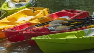 How Guided Backwater Kayaking Expeditions Along Konkan Coast Promote Mangrove Conservation And Biodiversity