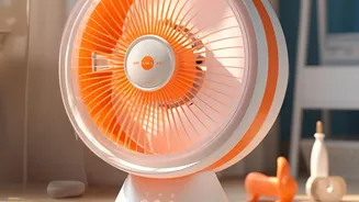 A Fan Helps Movement, but the Room Still Needs Moisture Control