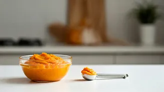 Healthy Homemade Diets Pack Pureed Pumpkin For Dynamic Pet Care