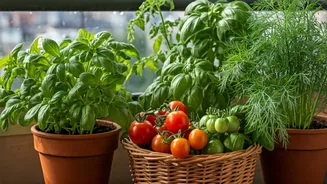 June-Friendly Crops Make Balcony Gardens Worth It