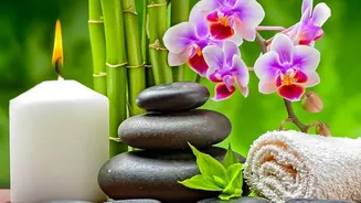 India’s Wellness Tourism Market Is Growing As Travellers Combine Holidays With Health And Relaxation Experiences