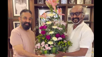 Related Stories banner