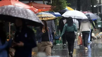 Tempestades e ventos de 100 km/h: Inmet emite alerta laranja de perigo para 6 estados