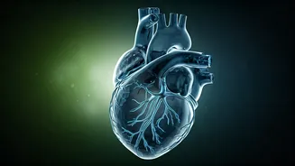 Related Stories banner