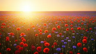 Peak Bloom Outperforms Ordinary Floral Exhibitions Worldwide Effortlessly Now