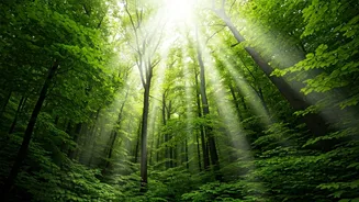 Breathe Easy: 5 Indian Homestays for Pure Air