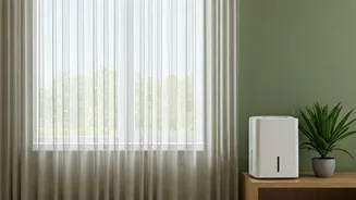How To Prevent Musty Smells Before They Start
