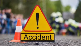 Brazil Bus Crash Kills 17 Passengers
