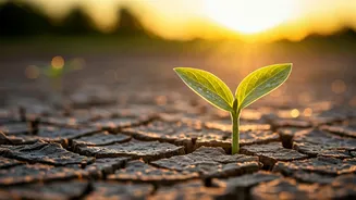 Related Stories banner