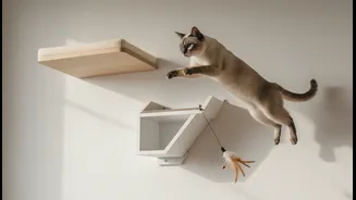 Vertical Space Can Give Cats More Territory Without Taking The Floor
