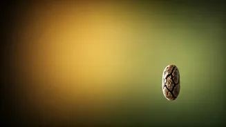 Related Stories banner