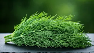 Unlock Stronger Hair: The Ancient Secret of Shepu (Dill Leaves)