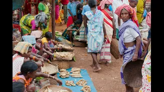 How Monsoon Impacts Vegetable Prices in India
