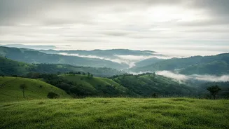 Explore Hidden Monsoon Retreats Around Bengaluru Before They Get Crowded