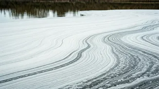 Delhi's Toxic Yamuna: A Reappearing Problem