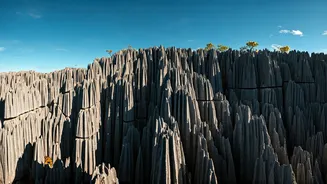 Ankarana Tsingy: Unveiling Madagascar's Subterranean Wonders and Unique Ecosystems