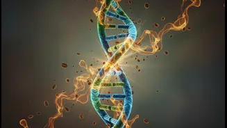 How Coffee Compounds Assist In Repairing DNA Micro-Damage Caused By Urban Oxidative Stresses