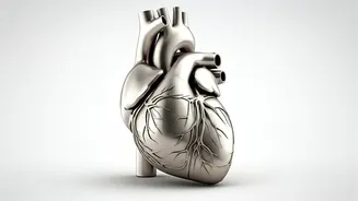 Avoid These 4 Things for a Healthy Heart After 30