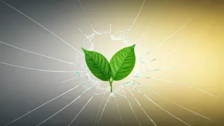 Breaking Free: Overcoming Boundary Struggles from Strict Upbringings