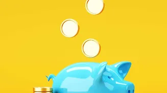 How Index Fund SIPs Provide High Returns For Beginners Starting With Small Budgets