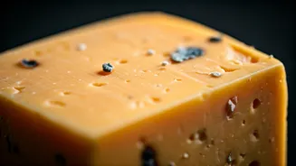 Is Your Cheese Tainted With Microplastics?