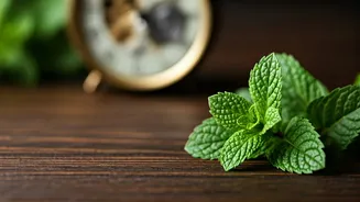 Unlocking Focus: The Science Behind Peppermint & Your Brain