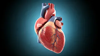 5 Keys to a Healthy Heart: Essential Insights