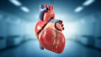 Heart Health: Why Women Face Higher Risks