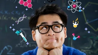 Students use AI prompt chaining to build custom weekly exam revision schedules
