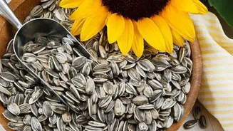 Sunflower seeds v/s figs: Which one you should choose?