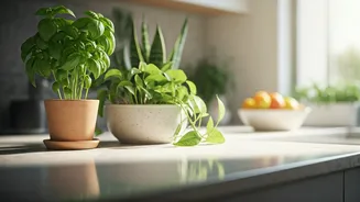 Countertop Plants Are Making Kitchens Look Cuter