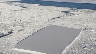A Closer Look At The Temporary Antarctic Ice Gain As A New Antarctica Study Makes News