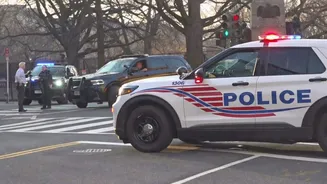 Van crashes into White House barricade; driver detained