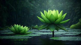 Ashadha Dates Make Monsoon Feel More Meaningful