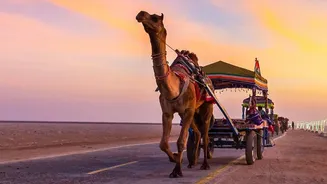 Rajasthan's Emerging-Destination Push Puts Local Transport Planning On The Travel Checklist