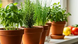 Kitchen-Useful Plants Are The Low-Drama Garden Win