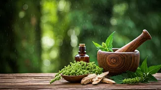 Monsoon Wellness Goes Natural