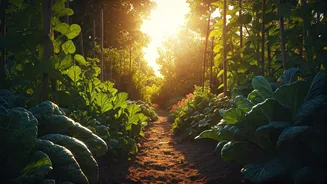 Climate Action Feels Less Heavy At Bhoomi Habba
