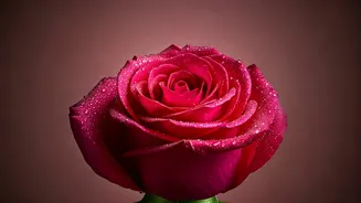 7 Dermatologist-Approved Anti-Aging Secrets for Radiant Skin