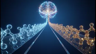 Glucose And Fructose Gut-Brain Research Could Reshape Everyday Decisions Around Sugar Choices And Hunger Signalling