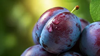Why Antioxidant Rich Plums Rule Indian Social Media
