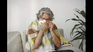 Influenza A, B, C e D: qual a diferença entre os tipos de gripe?