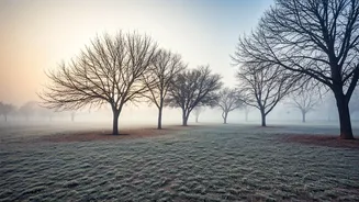 Delhi's Chill: Coldest Day in 2026, Temperatures Dip