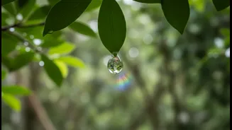 Beyond Hype, a Clear UV Exposure Explainer Is Needed for Cloudy-Day Sunscreen During the Monsoon