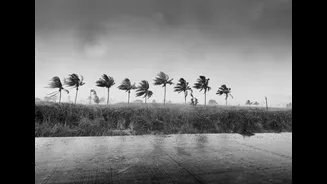 Heavy Rain and Strong Winds Forecast for Karnataka Districts